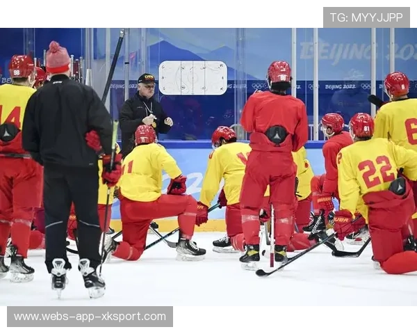 高密度冰球练习板助力全球冰球爱好者训练提升,冰球训练教程 高密度冰球练习板助力全球冰球爱好者训练提升,冰球训练教程