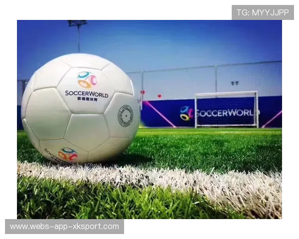 海港的国际化路线图：从联赛到青训学院的延展